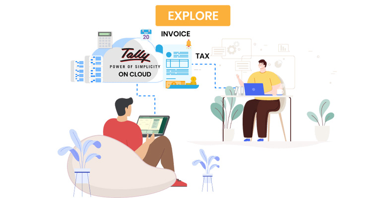 Tally ERP 9 on cloud services in dar es salaam